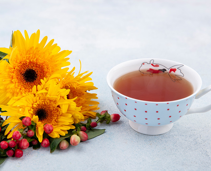 Echinacea
